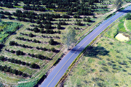 对单一道路的全景农村生活景象图片