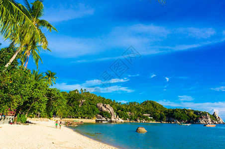 泰国高涛海滨热带白色沙滩热带图片