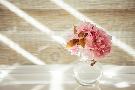 在窗台上花瓶里的樱花棕色的背景高调的照片图片