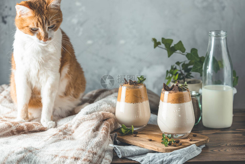 可爱的红白猫和两杯冰达尔戈纳咖啡在深色木质表面上趋势韩国饮料拿铁浓缩咖啡加咖啡舒适的家居理念待在图片