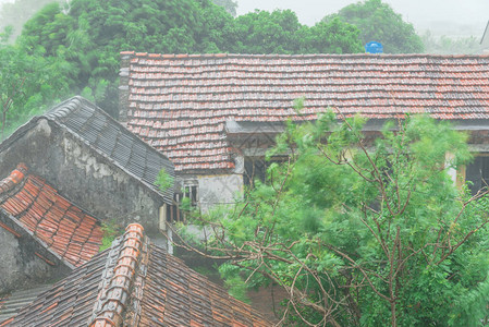 鸟瞰越南北部偏远村庄古瓦屋顶上的强降雨和有花园和槐树的越南乡村住背景图片