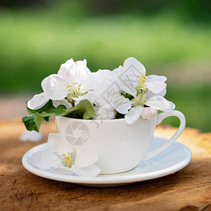 白春苹果花在咖啡杯里盛开的花朵在天然木质背景上图片