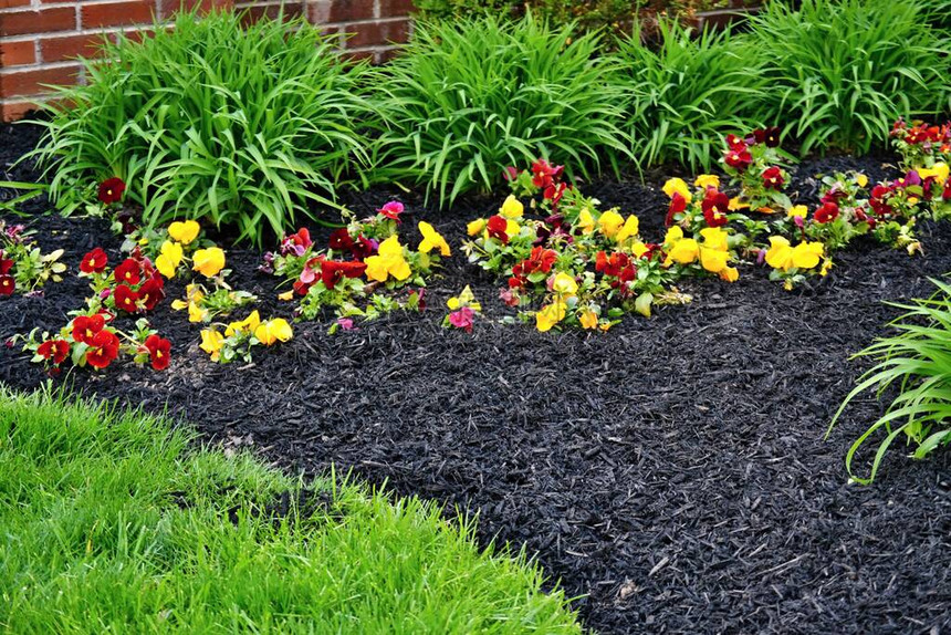 印第安纳州西拉斐特的春季花坛新鲜地充满了新的覆盖物和堆肥混合物图片