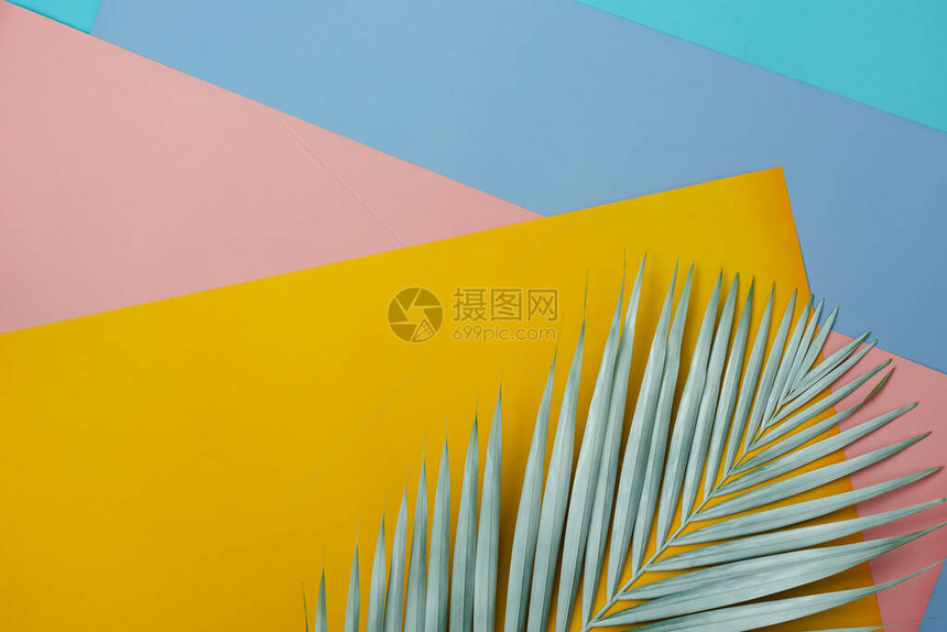 夏季假期背景概念的桌面视图空中图像现代质朴柔和的纸背景上的平躺椰子或棕榈彩色叶子用于创意设计模拟内图片