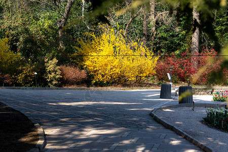 春天盛开的花园里的胡同美丽的观赏花园克里米亚植物园尼基茨植物园图片