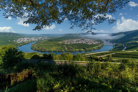 莫泽尔河环流与卡尔蒙山和柏莱姆附近的陡峭葡萄园山图片