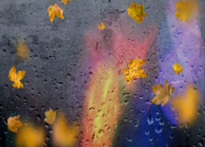 秋叶落人行道阴雨城市晚光反射在旧路面雨滴在窗口城市光模糊图片