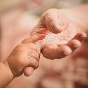孙女的小手握在外婆的手指上被外图片