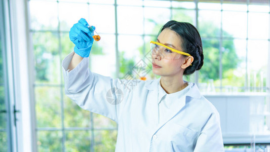 亚洲女研究员白袍教授看着面部集中的化学液体测试与背景内图片
