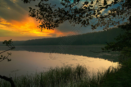 森林中湖面的红黄黎明图片