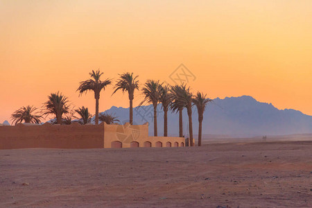 日落时埃及阿拉图片