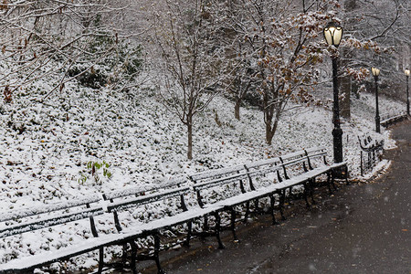 中雪公园下雪图片