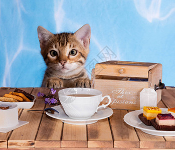 早上很可爱的早餐有茶和蛋糕图片