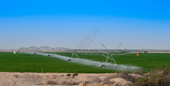 由卡塔尔农场的支流喷洒系统图片