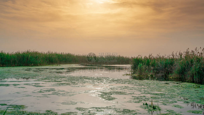 卡塔尔卡塔尔多哈Irkaya农场附近湖的图片