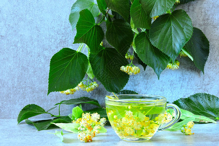 菩提树的叶子和花新鲜的草本酸橙茶椴树花茶用石灰花的制备背景图片