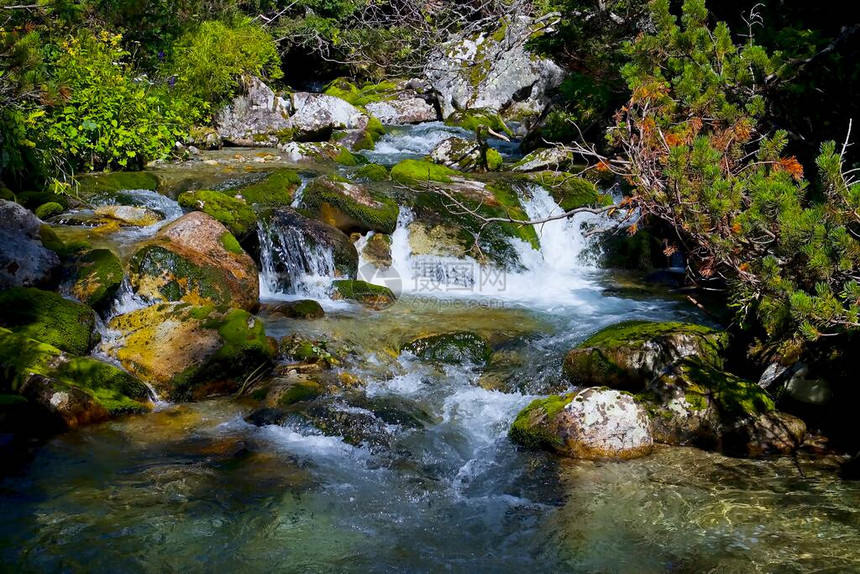 山水苔藓覆盖的石头松枝和其他山地植物是绿湖谷高山图片