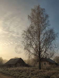 日出时的老乡间别墅冬天俄罗斯没图片