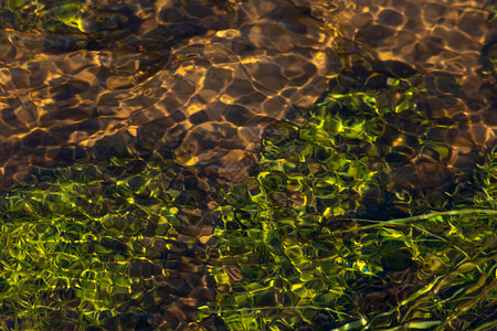 水晶般清澈的小溪水中柔滑的涟漪图片素材
