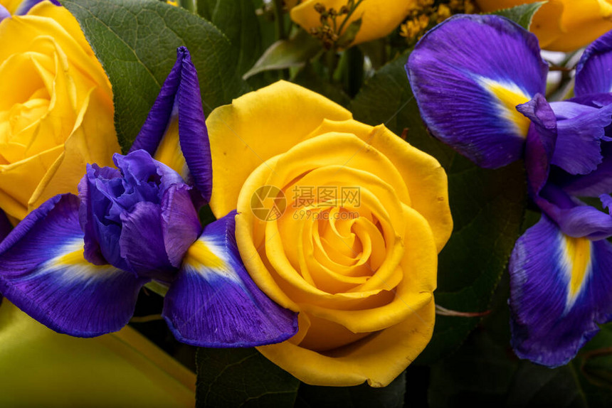 蓝色花朵和黄色玫瑰的图片