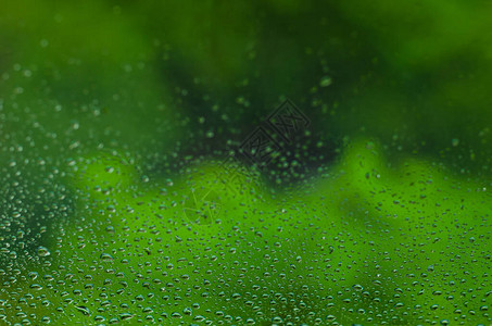 雨滴在雨季绿色背景玻璃窗上的模糊和焦点图片