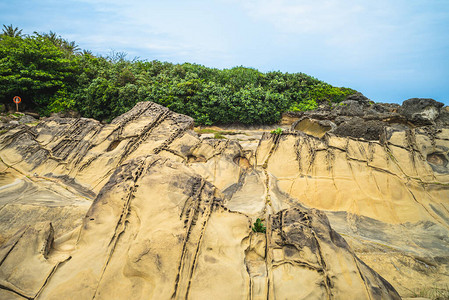 东海岸小野柳图片