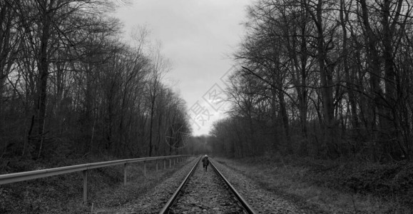 男孩在铁轨上跑着火车道穿过森林在图片