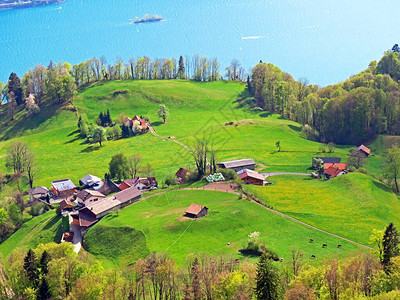 传统的乡村建筑和家庭牲畜农场在Seeztal山谷和瓦伦湖上空图片