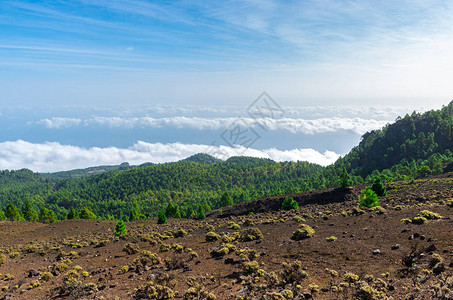 从加那利群岛LaPalma的Rutadelos火山峰上图片