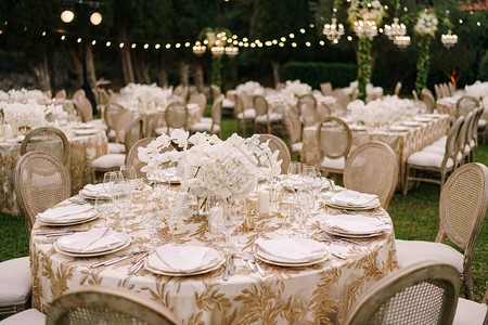 为有型态的奶油桌布绿草坪园林和花环挂在上边的客人提供优等桌子带圆背的椅背景图片