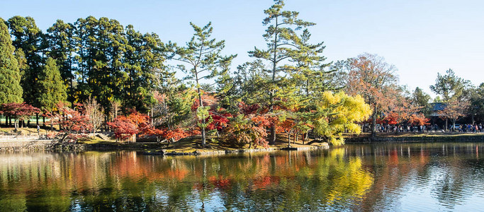 日本奈良公园的秋叶和河流图片
