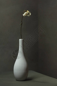 白色玫瑰在白色花瓶中干枯在图片