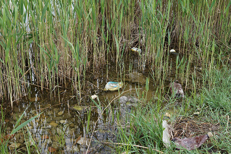 在河里装满填埋塑料瓶环境污图片