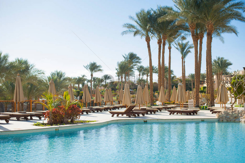 埃及沙姆伊赫酒店沙滩海游泳池和棕榈树上的雨伞下夏令休息室图片