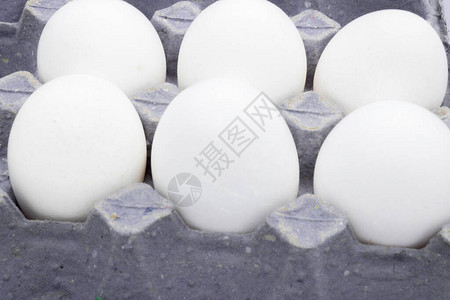 鸟蛋是人类营养中常见的食物图片