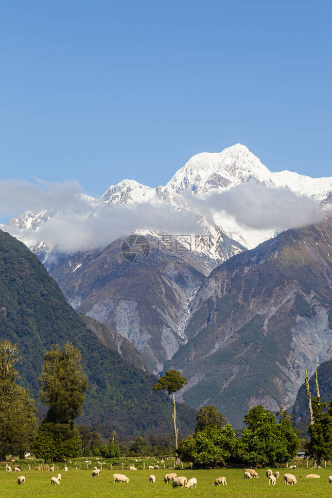 南阿尔卑斯山南部景观库克山图片