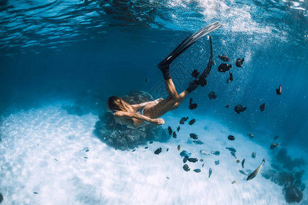 自由潜水的女孩背景图片