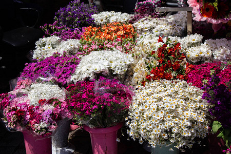 市场中鲜花茂盛的美丽图片