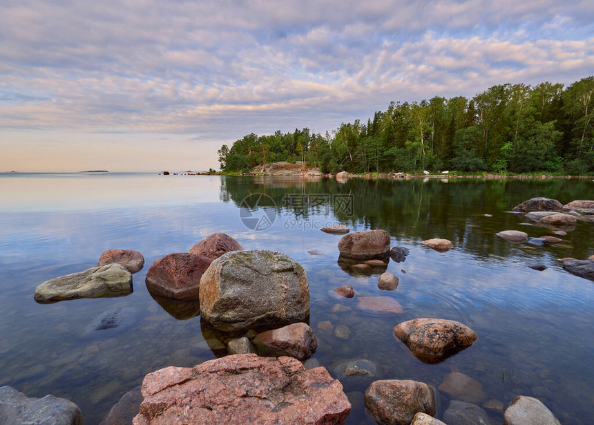 夏季沿着芬兰湾漫步图片
