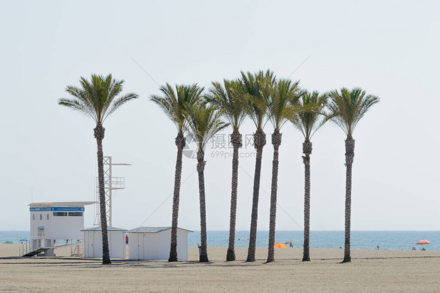 RoquetasdeMar海滩上一大群棕榈树的绿洲2019年8月14日Roquetas阿尔梅里亚西班牙图片