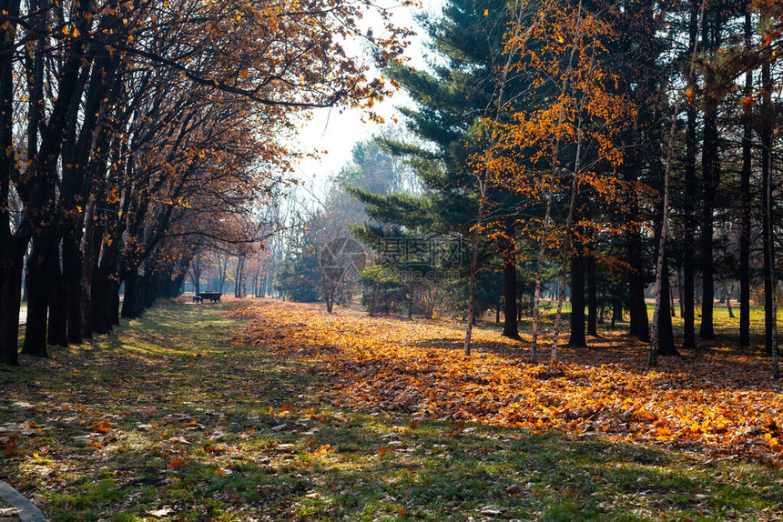 美丽的秋天公园美丽的秋天风景图片