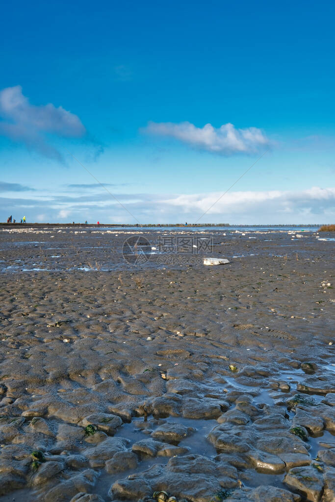 远处的几个人正在清理海滩上一艘集装箱船留下的烂摊子这艘船在海上丢失了货物到处都是白色的泡沫塑料球荷兰弗里斯兰联合国教科文图片