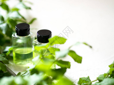 化妆品瓶容器和白色背景上的绿色植物天然有机产品美容博主沙龙疗法品牌模型背景图片