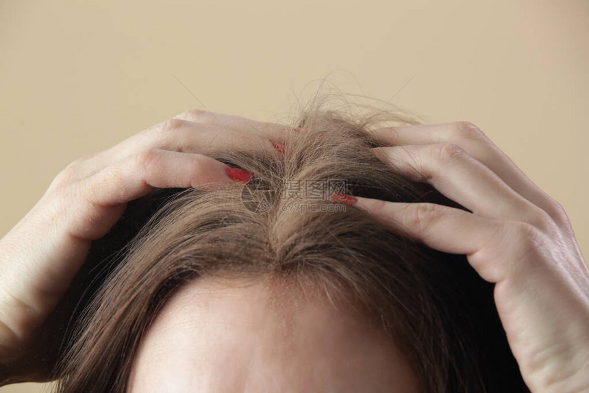 近距离观察女在发根上涂抹天然干洗发水布鲁内特使用不含有机无毒化学物质的干洗发水健康低毒零浪图片
