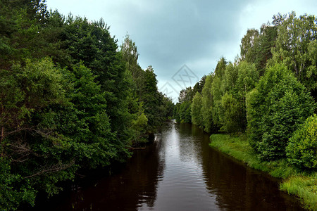 绿林中的小河图片