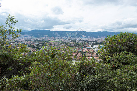 北波哥大城市景观的顶部山景与一些小树图片