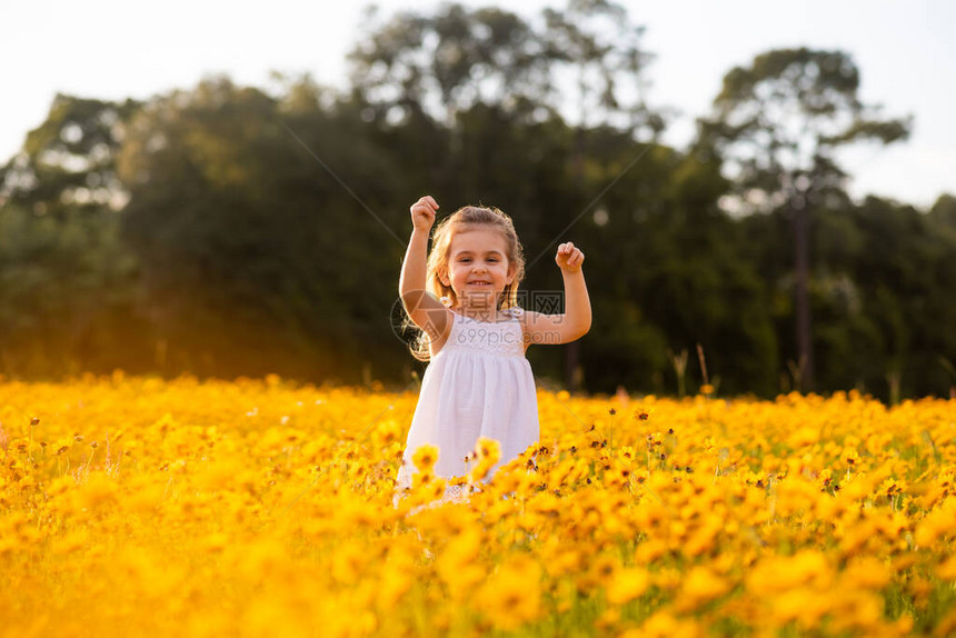 穿着白色连衣裙的蹒跚学步的小女孩在黑眼圈苏珊花田里散步和摘花日落时在花草甸上开着黄图片