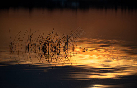 湖上美丽的黄金时段图片