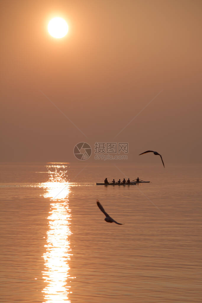 海鸥飞过赛艇队在日落时分在波光粼的湖面上训练图片