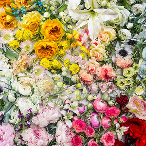 花原背景大量的装饰花朵由多图片